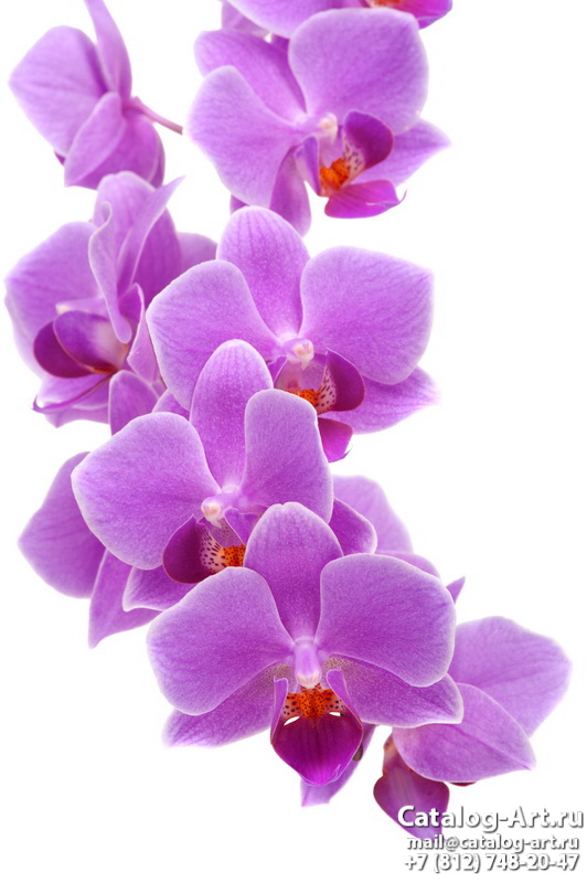 картинки для фотопечати на потолках, идеи, фото, образцы - Потолки с фотопечатью - Розовые орхидеи 58